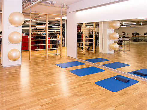Functional area with wall bars and mats at ACTIV FITNESS Lachen