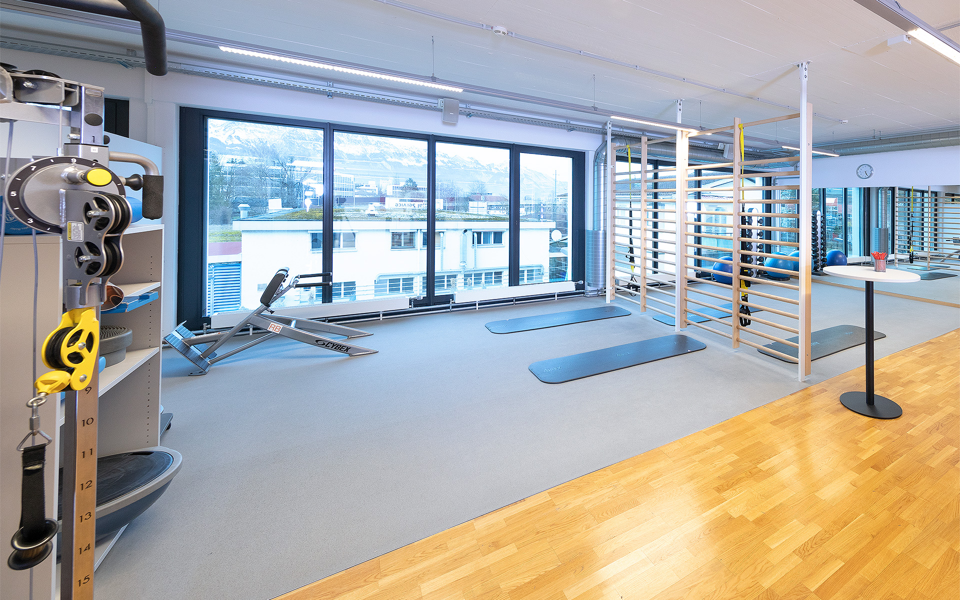 Functional area, wall bars, cable pulley, ACTIV FITNESS Studio Buchs