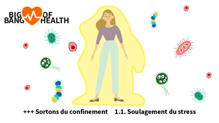 Art. 1.1 Big Bang of Health Soulangement