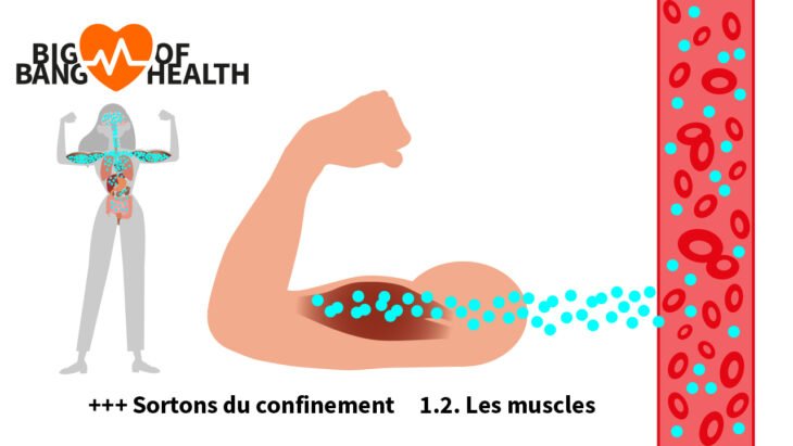 Art. 1.2 Big Bang of Health Myokines