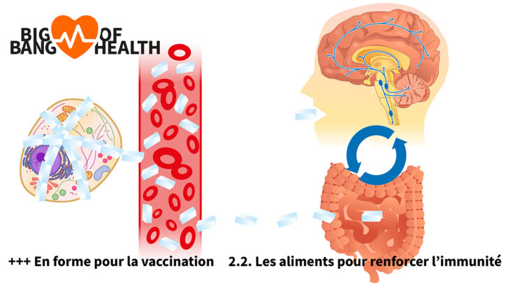 Art. 2.2 Big Bang of Health Activ Fitness