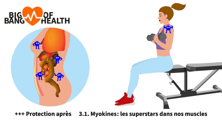 Art. 3.1 Big Bang of Health Activ Fitness
